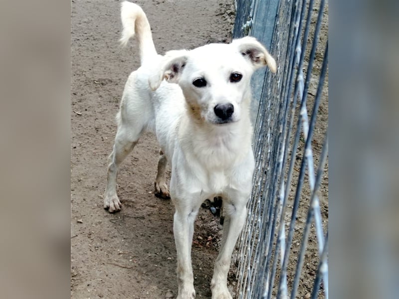 Corey sucht ihr zu Hause! ❤️