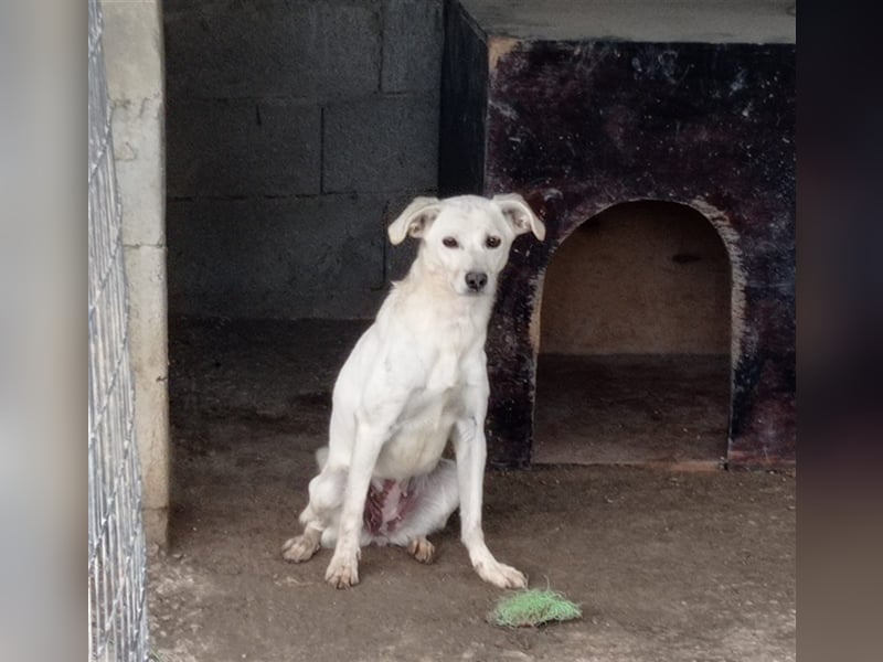 Corey sucht ihr zu Hause! ❤️