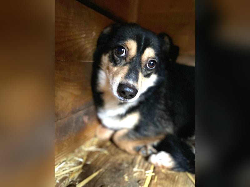 Funky sucht erfahrene Menschen