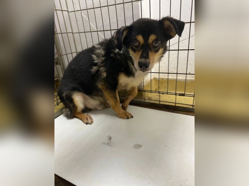 Funky sucht erfahrene Menschen