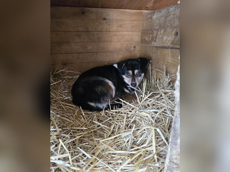 Funky sucht erfahrene Menschen