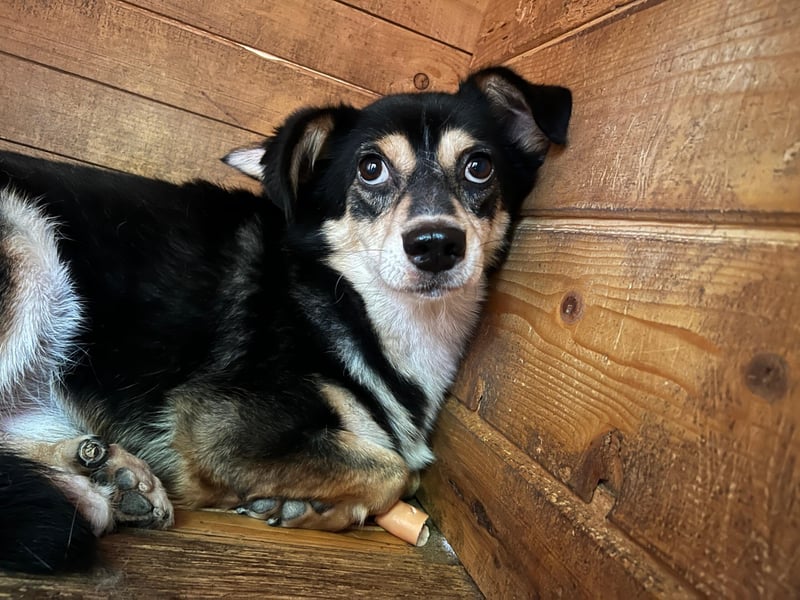 Funky sucht erfahrene Menschen