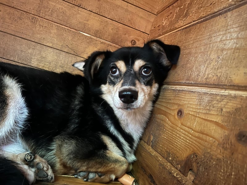 Funky sucht erfahrene Menschen