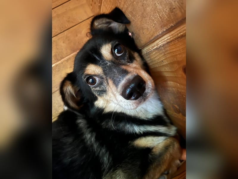 Funky sucht erfahrene Menschen