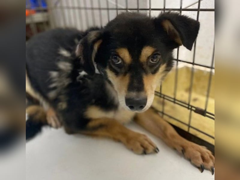 Funky sucht erfahrene Menschen