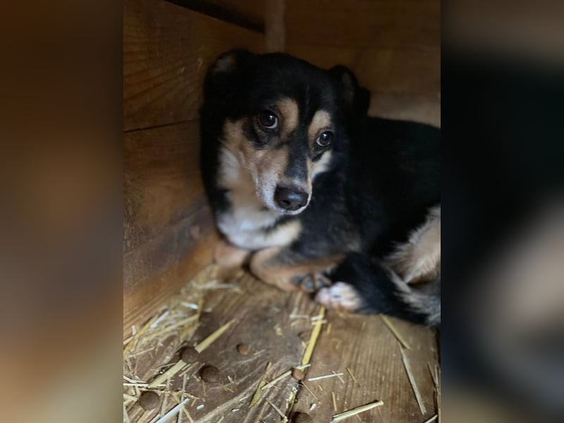 Funky sucht erfahrene Menschen