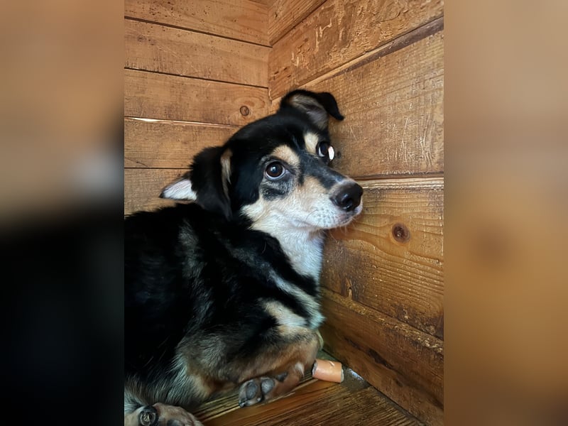 Funky sucht erfahrene Menschen