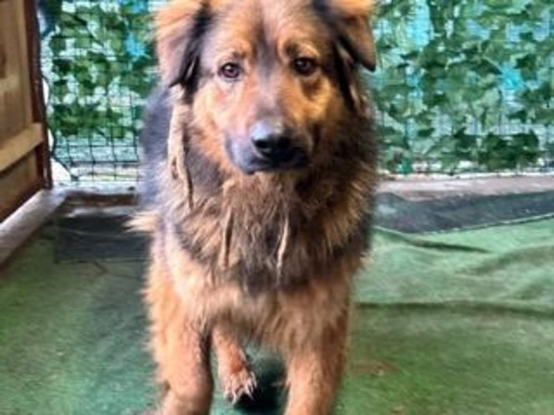 BOBBY-sucht Menschen, die ihm zeigen, was Leben auch sein kann