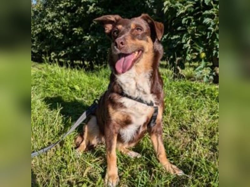 Caramel – sucht Menschen mit Geduld