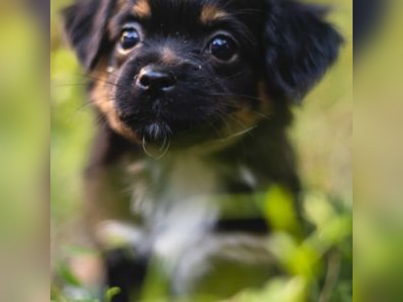 BIMBA-spannende Ausflüge, gemeinsame Urlaube und einem rundum Sorglos-Paket gewünscht