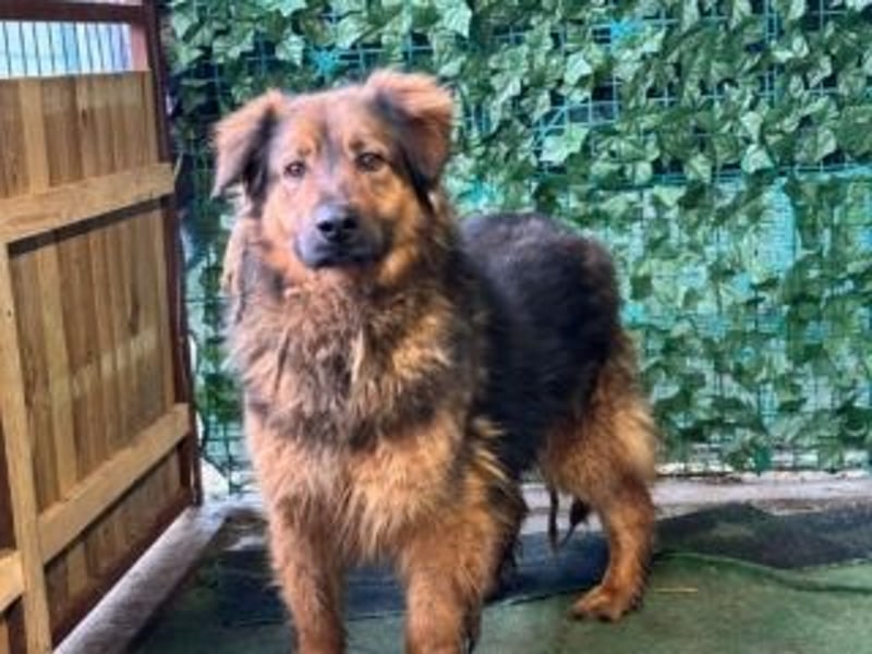 BOBBY-sucht Menschen, die ihm zeigen, was Leben auch sein kann