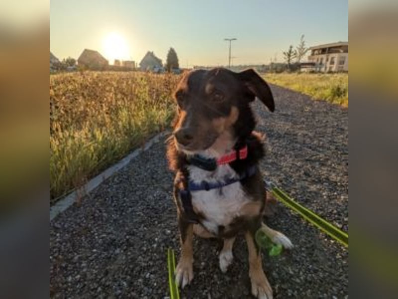 Caramel – sucht Menschen mit Geduld