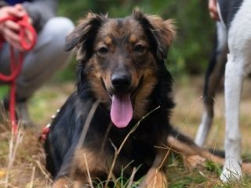 HECTOR- wartet in München auf deinen Besuch