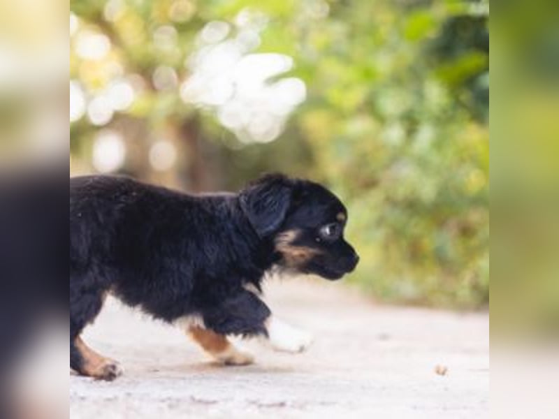 BIMBA-spannende Ausflüge, gemeinsame Urlaube und einem rundum Sorglos-Paket gewünscht