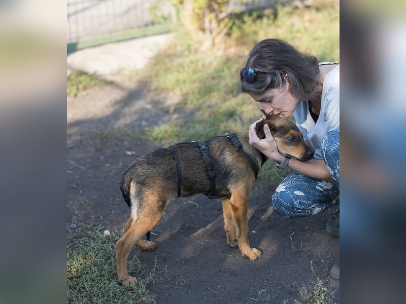 Vanessa -fröhliches, aufgeschlossenes Mädchen wartet auf liebevolle Für-immer-Familie