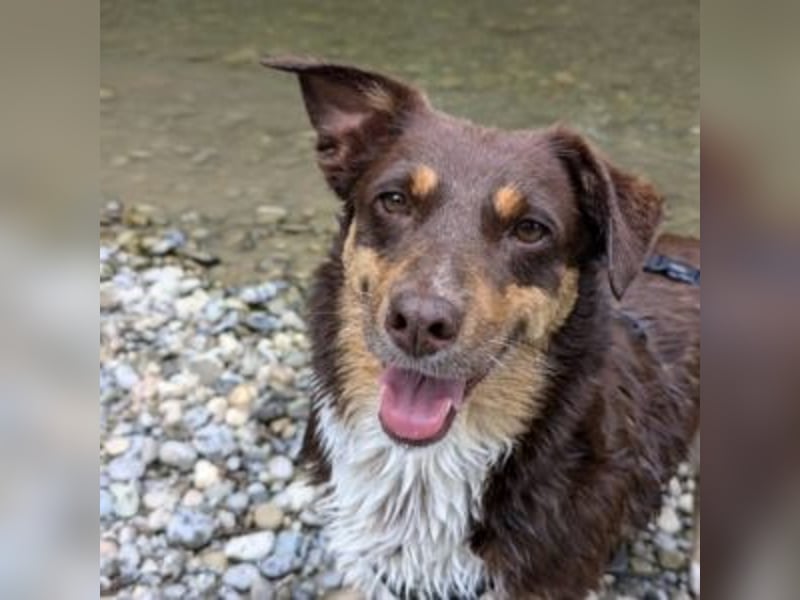 Caramel – sucht Menschen mit Geduld