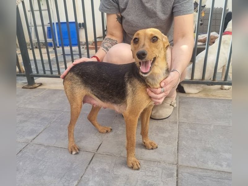 CHINA- überaus zärtlich, fürsorglich, sehnt sich nach menschlicher Nähe und liebevollem Zuhause