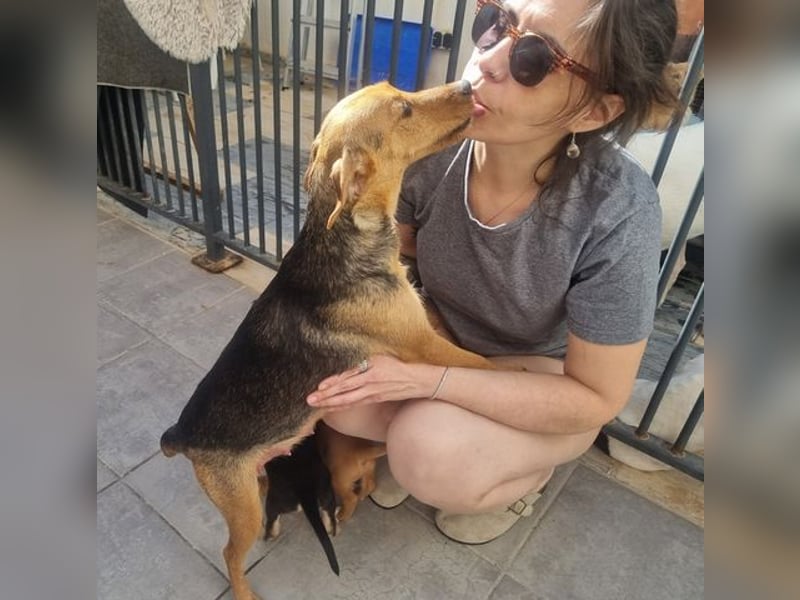 CHINA- überaus zärtlich, fürsorglich, sehnt sich nach menschlicher Nähe und liebevollem Zuhause