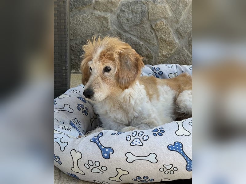 FINLEY-wahrer Engel, tapferer Held