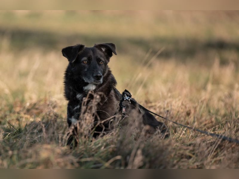 TITI-kleiner, freundlicher Teddybär, toller Alltagsbegleiter