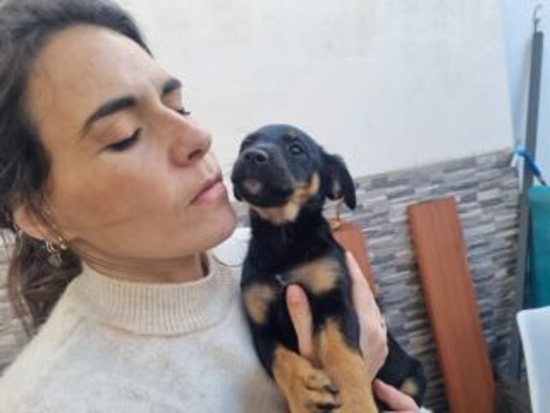 PATITA-kleine Pfoten suchen großes Glück