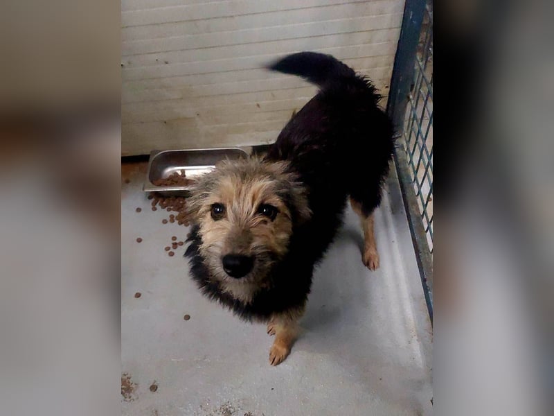 Diesel – offen und freundlich