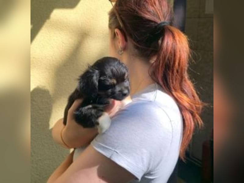 BIMBA-spannende Ausflüge, gemeinsame Urlaube und einem rundum Sorglos-Paket gewünscht