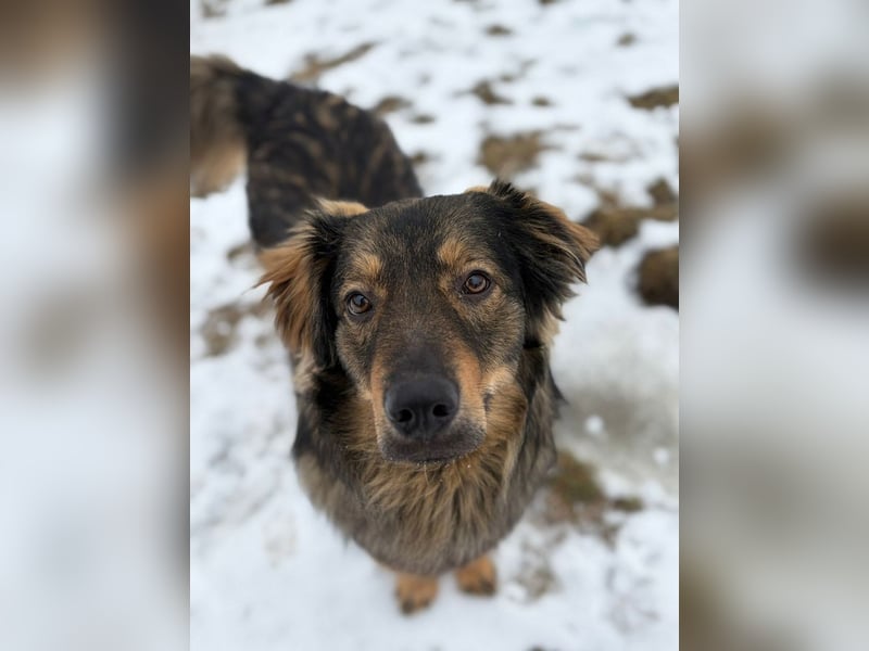 HECTOR- wartet in München auf deinen Besuch
