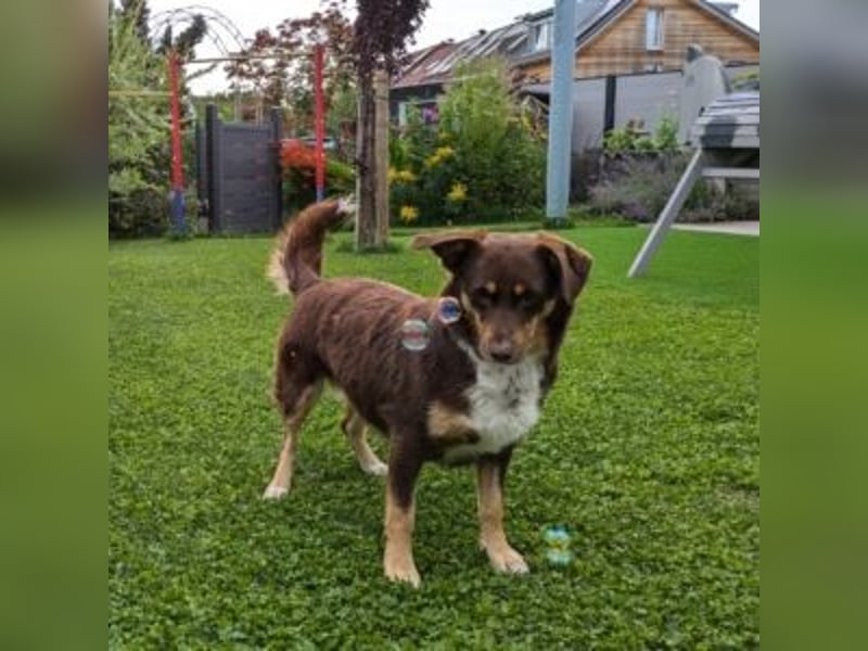 Caramel – sucht Menschen mit Geduld