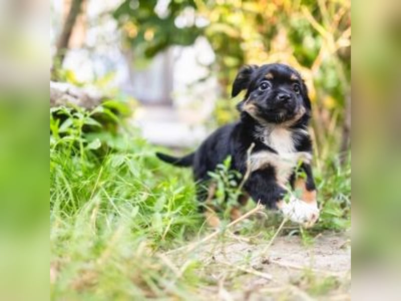 BIMBA-spannende Ausflüge, gemeinsame Urlaube und einem rundum Sorglos-Paket gewünscht