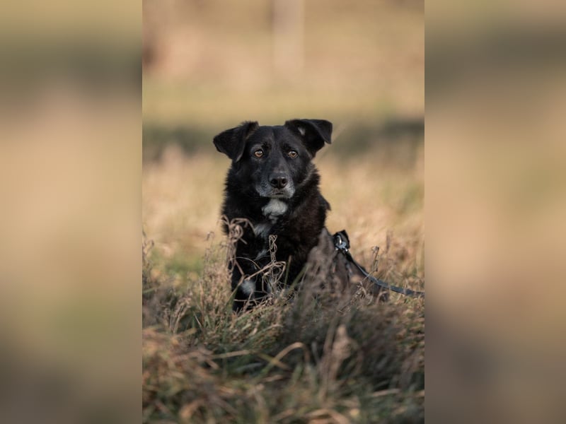 TITI-kleiner, freundlicher Teddybär, toller Alltagsbegleiter