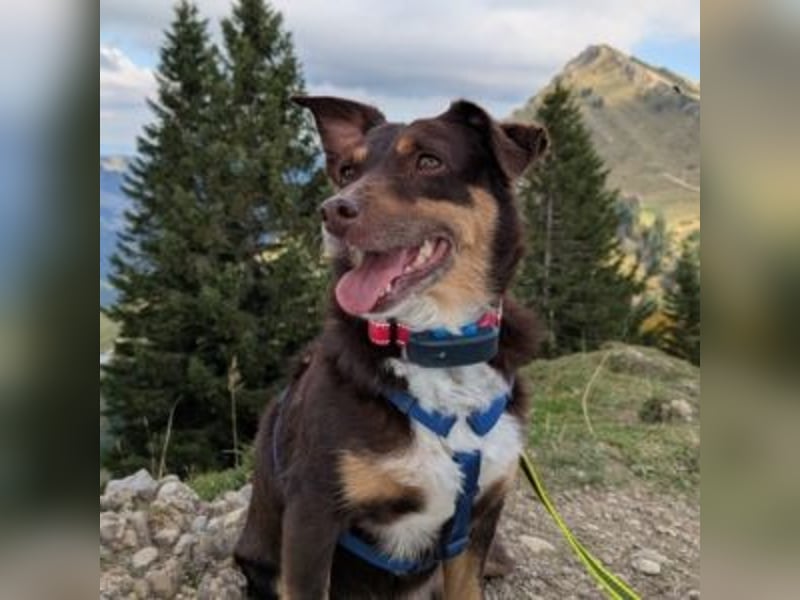 Caramel – sucht Menschen mit Geduld