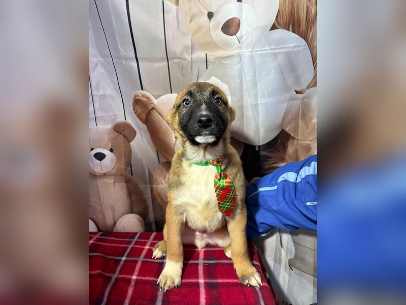 Max – hat sein Köfferchen schon gepackt