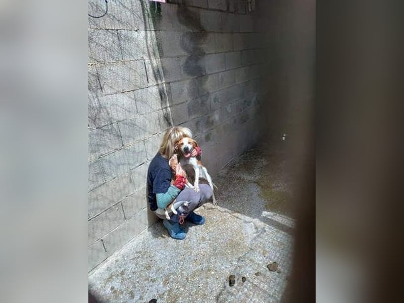 CAMINO- sucht ein Zuhause, wo sie Liebe, Fürsorge und Unbeschwertheit erfahren darf