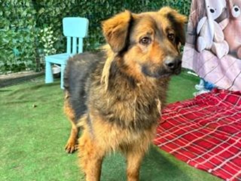 BOBBY-sucht Menschen, die ihm zeigen, was Leben auch sein kann