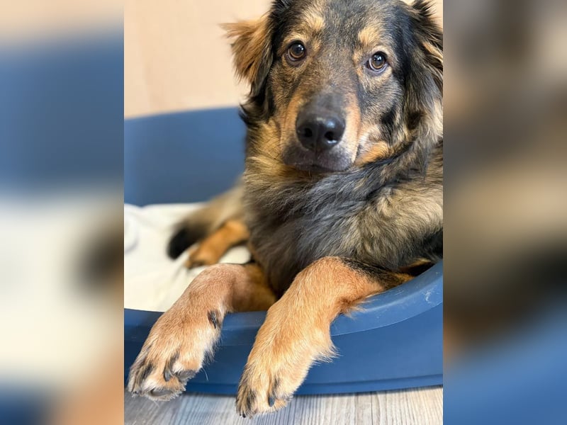 HECTOR- wartet in München auf deinen Besuch