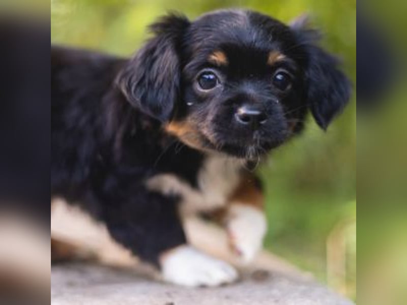 BIMBA-spannende Ausflüge, gemeinsame Urlaube und einem rundum Sorglos-Paket gewünscht