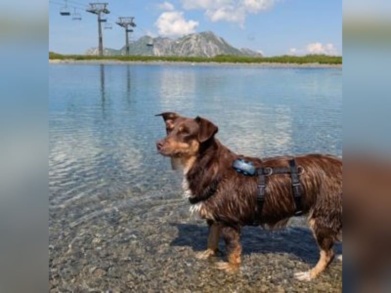 Caramel – sucht Menschen mit Geduld