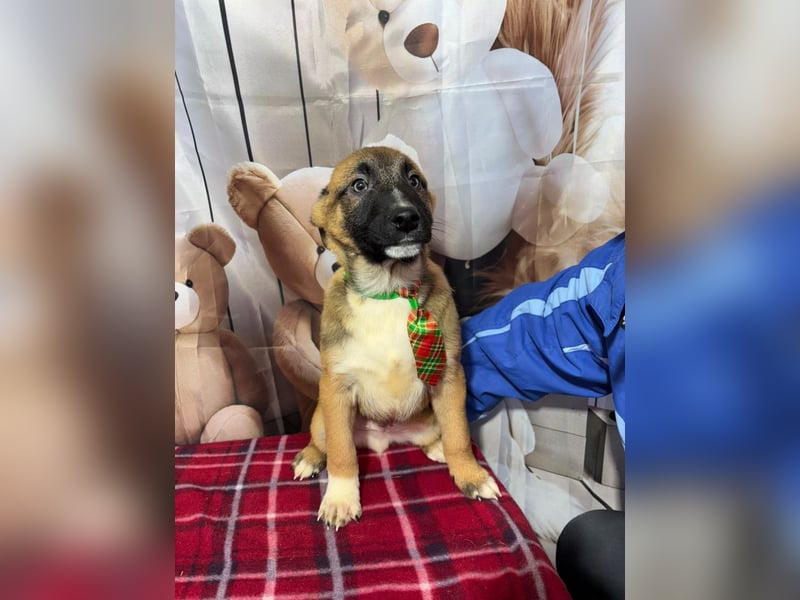 Max – hat sein Köfferchen schon gepackt