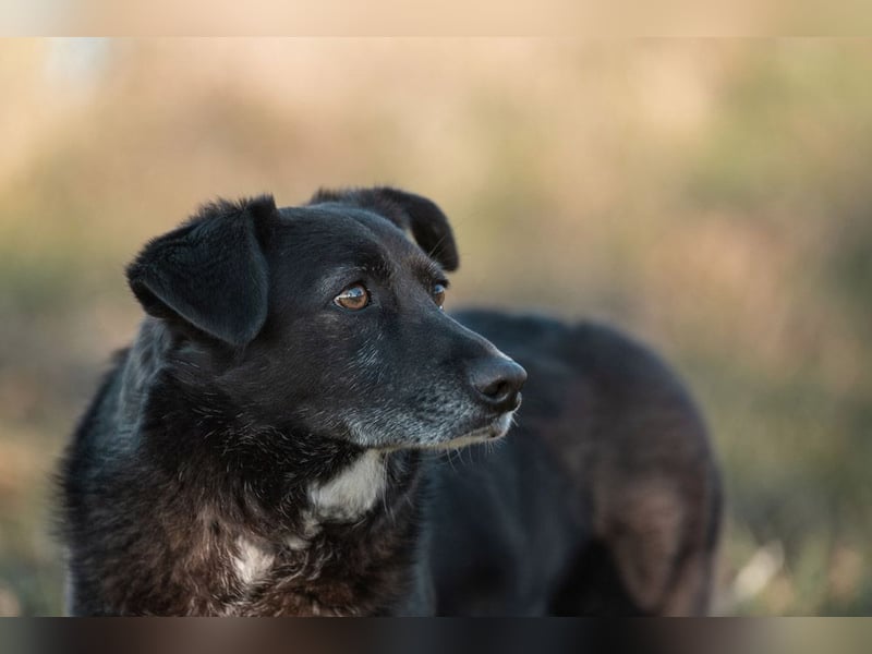 TITI-kleiner, freundlicher Teddybär, toller Alltagsbegleiter