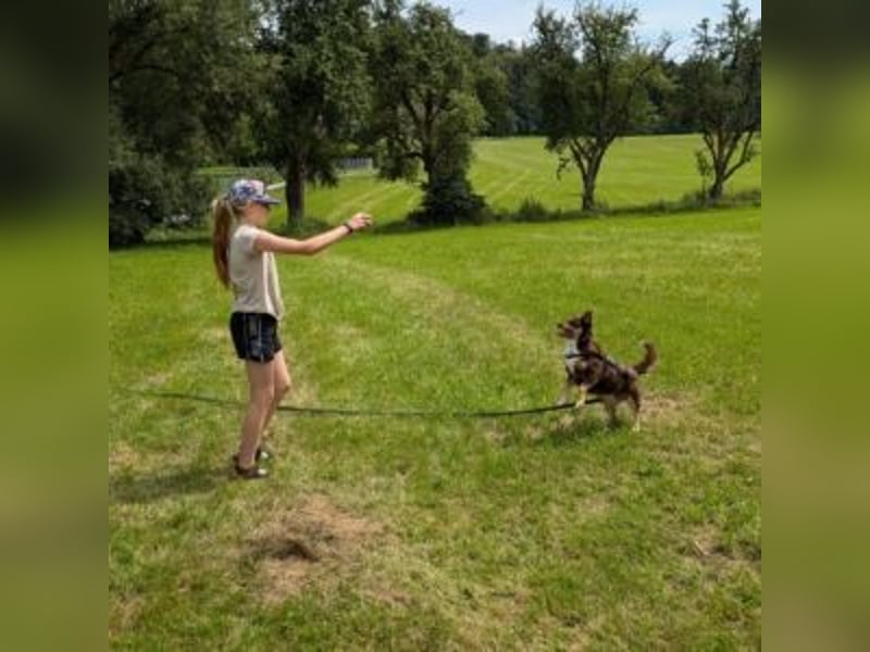 Caramel – sucht Menschen mit Geduld