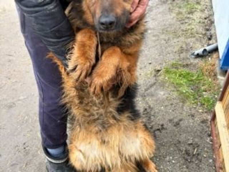 BOBBY-sucht Menschen, die ihm zeigen, was Leben auch sein kann