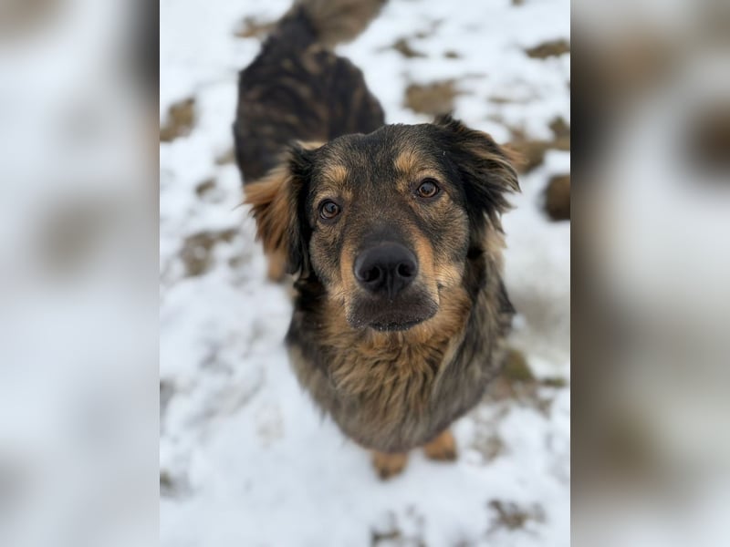 HECTOR- wartet in München auf deinen Besuch