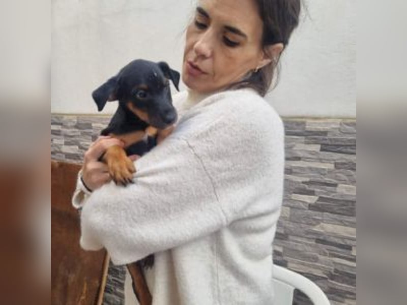 POLO-bald alt genug für seinen guten Start ins Leben