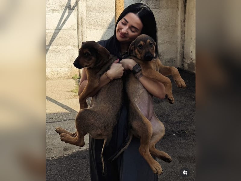 Vanessa -fröhliches, aufgeschlossenes Mädchen wartet auf liebevolle Für-immer-Familie