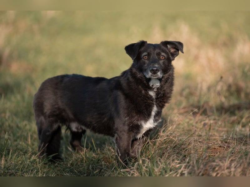 TITI-kleiner, freundlicher Teddybär, toller Alltagsbegleiter