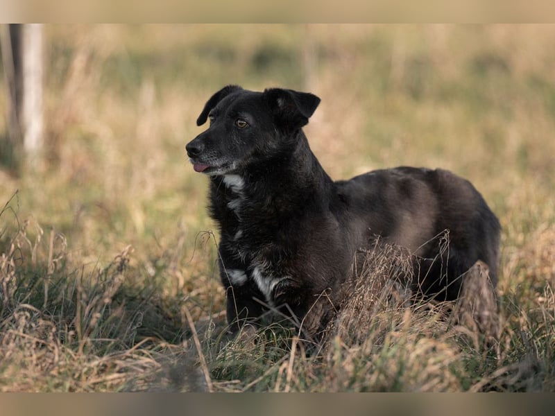TITI-kleiner, freundlicher Teddybär, toller Alltagsbegleiter