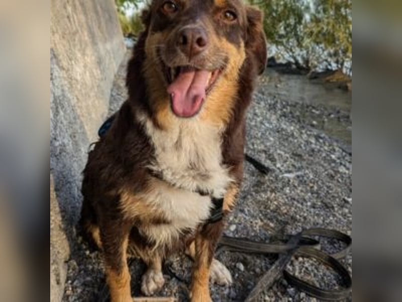 Caramel – sucht Menschen mit Geduld