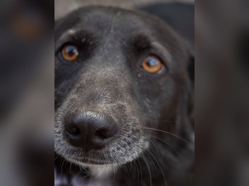 TITI-kleiner, freundlicher Teddybär, toller Alltagsbegleiter