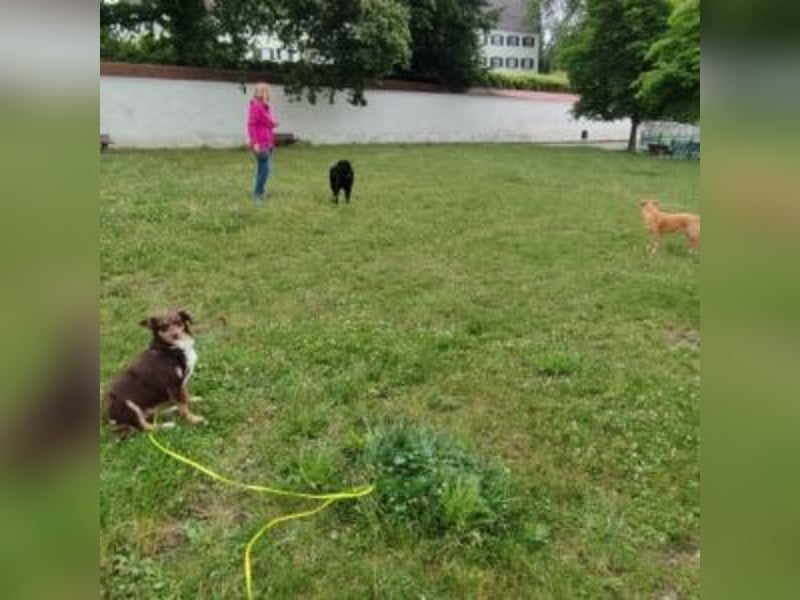 Caramel – sucht Menschen mit Geduld